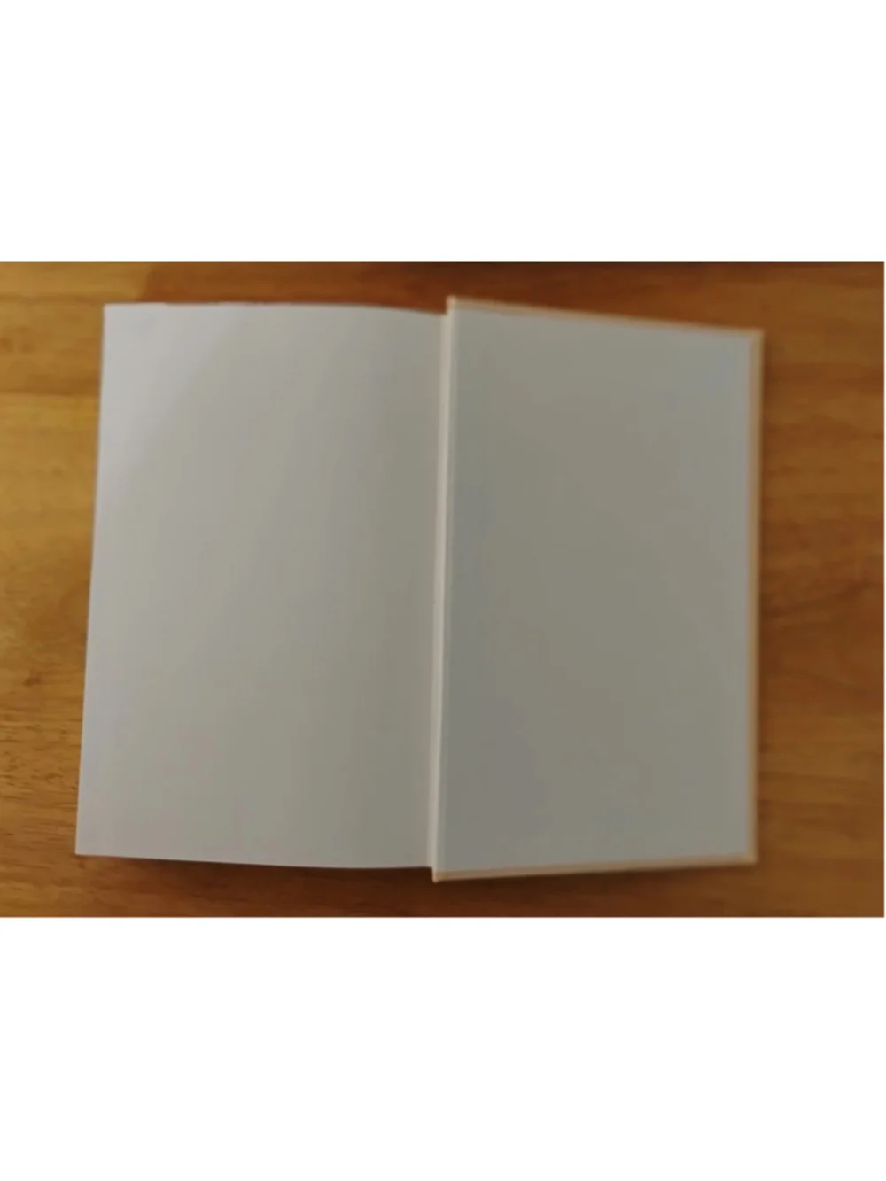 Hardcover THY WILL BE DONE by Lyle D. Chupp
